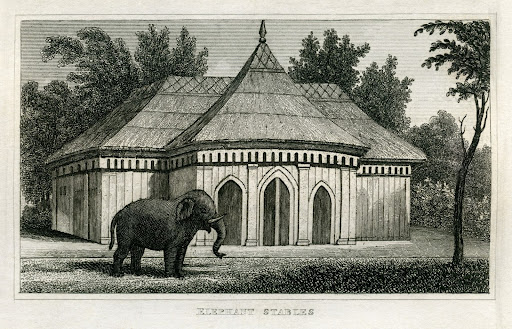 Regents Park Elephants House